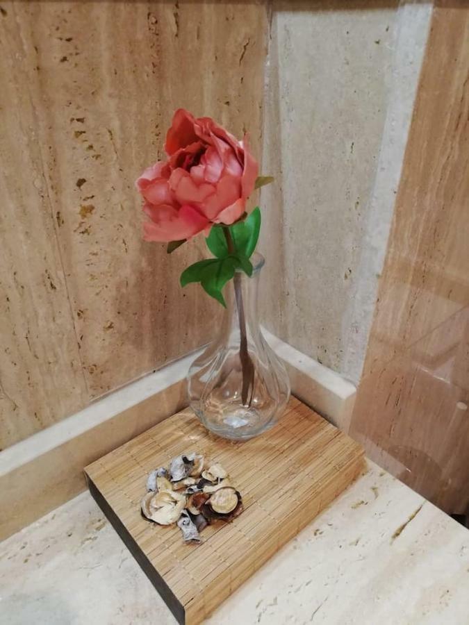 Residencial Delta Garden'S Apartment แซนต์ โจเม เดินเวจา ภายนอก รูปภาพ